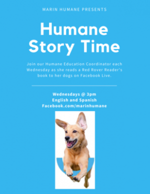 Virtual Humane Storytime, Marin Humane