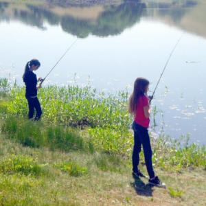 Lake Fishing for Kids, Stafford Lake in Novato