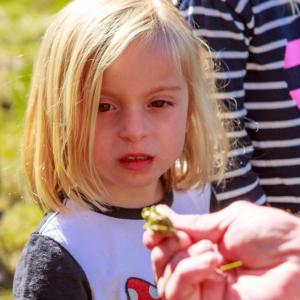 child observing nature