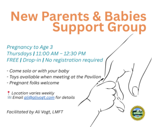 New Parents, Babies and Toddlers Support Group, Fairfax