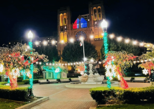 Nob Hill Holiday tree lighting