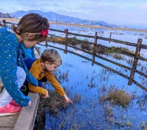 Kids on nature trail at China Camp State Park