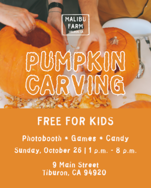 Malibu Farm Tiburon Pumpkin Carving