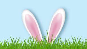Easter bunny ears illustration