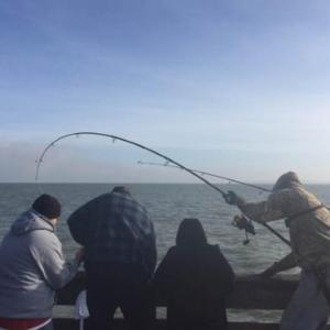 Pier fishing