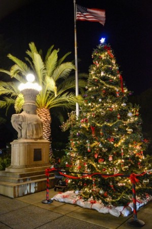 Sausalito Holiday Tree Lighting