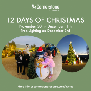 Cornerstone Sonoma Snowman Tree Lighting + Toy Drive