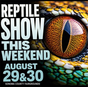 Scales Reptile Show in Santa Rosa