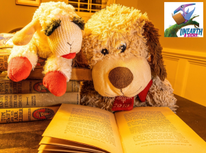 The Great Stuffed Animal Sleepover, Belvedere Tiburon Library