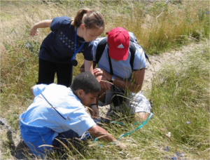 Kids looking through brush for nature stuff
