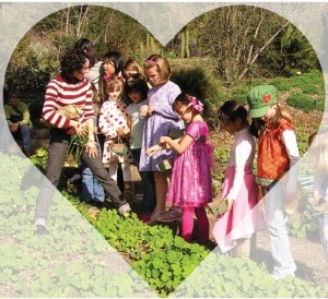 Family Program: Botanical Valentine Tea, UC Botanical Garden at Berkeley