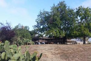 Petaluma Adobe