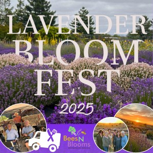 Sunset Fridays at Bees N Blooms, Santa Rosa