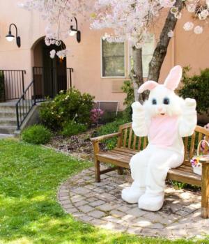 Easter Bunny at Fairmont Sonoma Mission Inn