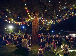 The Presidio's Traditional Tree-Lighting Ceremony 