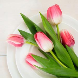Mother's Day Brunch Buffet at Cavallo Point, Sausalito