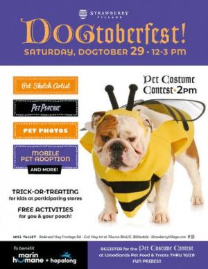 DOGtoberfest & Trick-or-Treating, Stawberry Village, Mill Valley