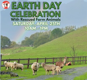 Earth Day Celebration With Rescued Farm Animals, Rancho Compasión