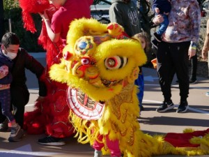 Lion dancer