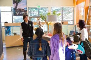 Randall Museum wildlife presentation