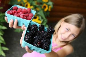 Novato Farmers Market, Downtown Novato