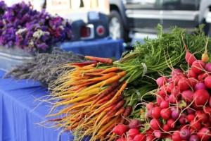 Point Reyes Farmers Market