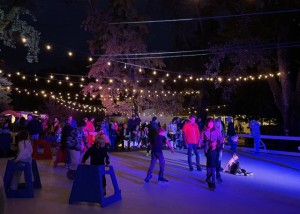 WinterFest skating rink