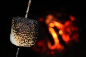 Campfire marshmallow roast