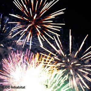 S'mores and Fireworks, McInnis Park