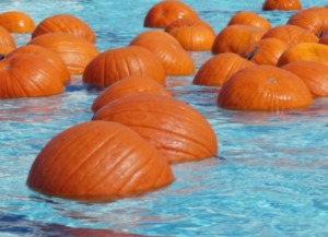 Terra Linda Pool: Floating Pumpkin Patch