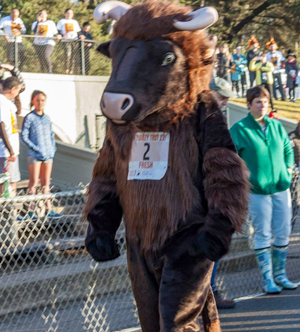 San Francisco Turkey Trot (17th annual)