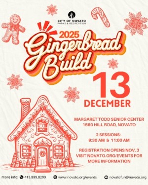 Novato Gingerbread Build 2025