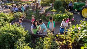 Garden Party Children's Museum of Sonoma County