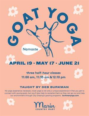 Goat Yoga Marin County Mart