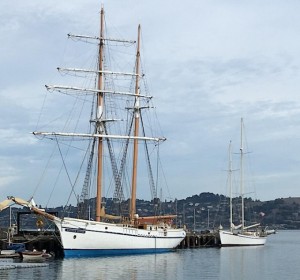 Call of the Sea Tall Ships