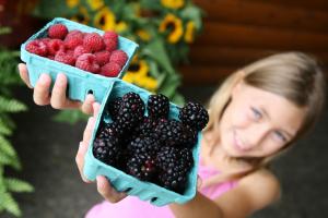 farmers market