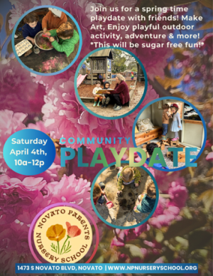 Novato Parents Nursery School Community Playdate