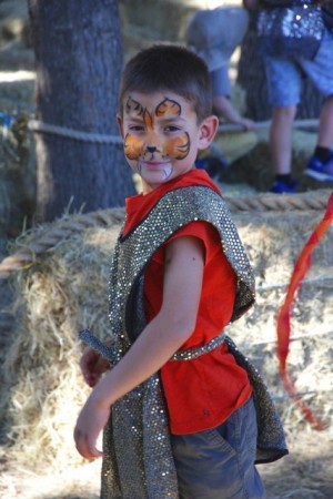 Marin Waldorf Harvest Fair, San Rafael