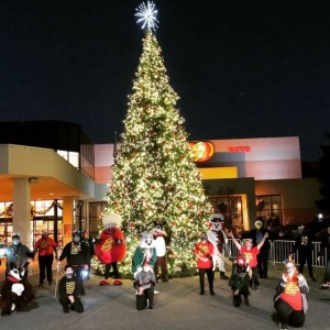 Jelly Belly Factory tree lighting