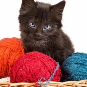 Knitty Gritty Crochet & Knitting Club at Belvedere Tiburon Library