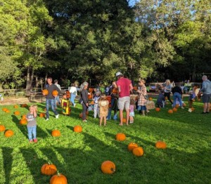 Halloween Harvest Fest at Marinwood Park
