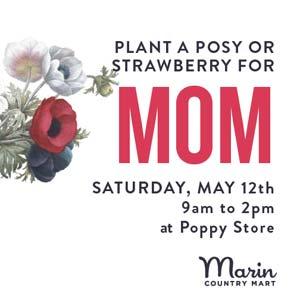 Mothers Day Celebration Marin Country Mart