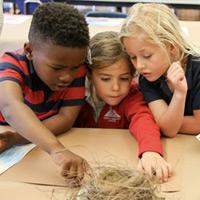 Mount Tamalpais School