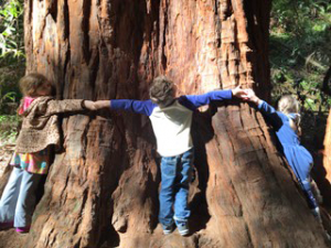 Pacific Discovery School, Mill Valley