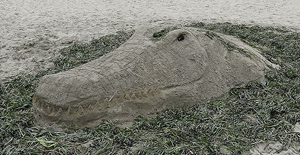 Drake's Beach Annual Sand Sculpture Contest