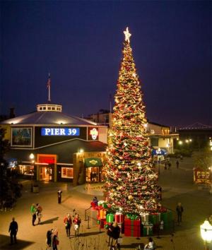 Pier 39 Christmas Tree