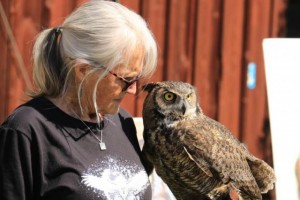 Woman holding great horned owl