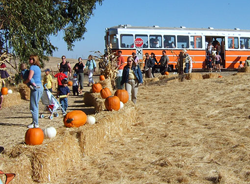 Western Railway Museum Pumpkin Patch Festival