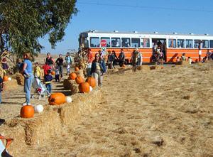 Western Railway Museum Pumpkin Patch Festival