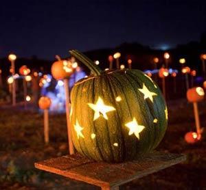 Pumpkins on Pikes, Tara Firma Farm in Petaluma